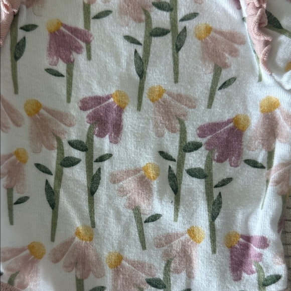 Cloud Island Floral and Pink Bodysuits - Picture 2 of 6